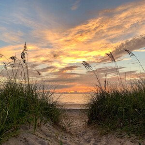 Life's Path - Vilano Beach Color Print