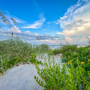 Beachside View Color Print