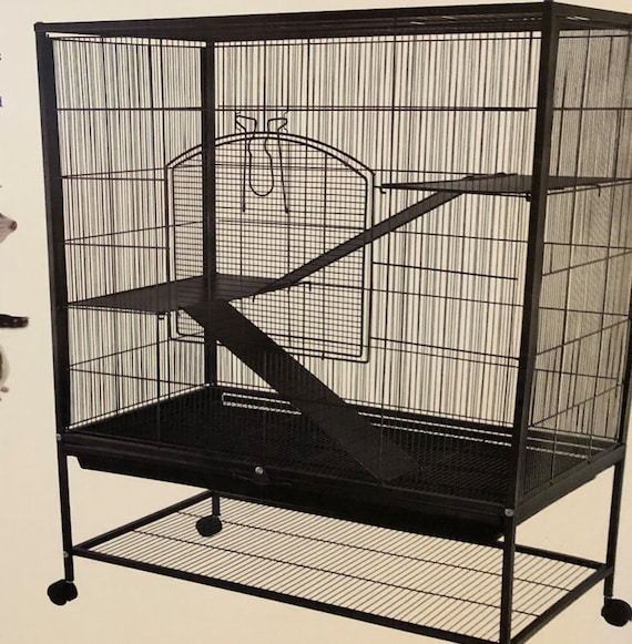 all living things rat cage