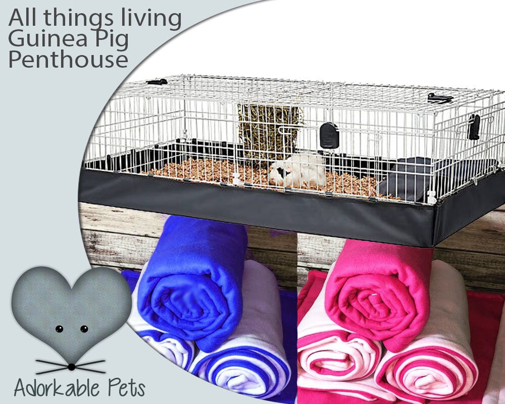 All living things guinea pig cage clearance