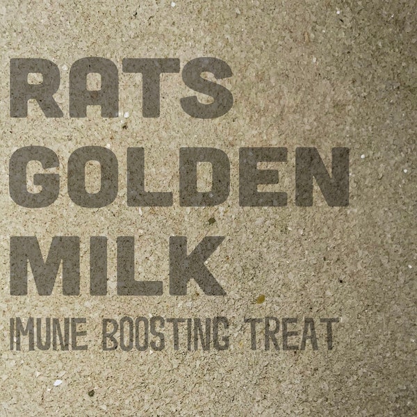 Rat Treat: Golden Milk, and Senior