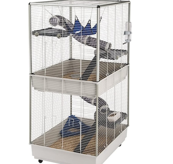 Ferret for online sale with cage
