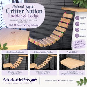 May include: A natural wood ladder and ledge set for Critter Nation cages. The set includes rectangular wooden planks connected by colorful beads, forming a flexible ladder, and flat wooden shelves. Text includes Natural Wood: Critter Nation Ladder & Ledge.