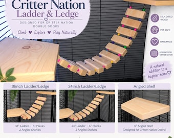 Natural Wood: Critter Nation Ladder & Ledge