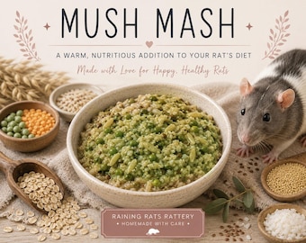 Nutrition Cooked food Mush Mash by Raining Rats