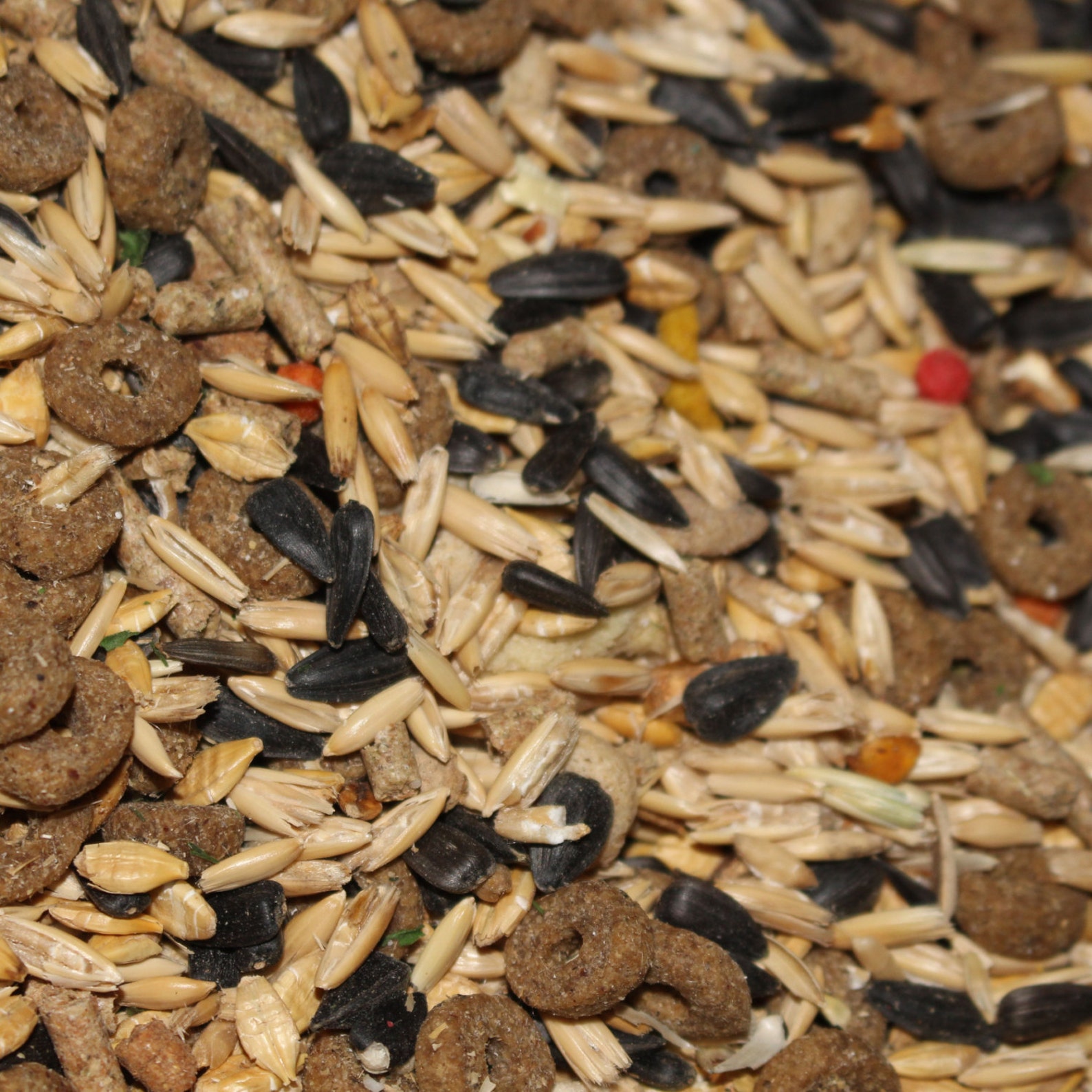 Rodent Diet Bundle of All the Foods Rat Diet Rat Treats Rat Etsy