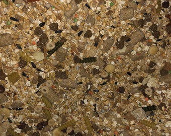 Raining Rats Grain Diet Base great Rat diet or food base to mix in Barley based