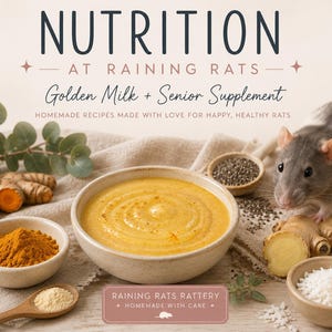 May include: A bowl of yellow golden milk surrounded by turmeric powder, ginger root, chia seeds, and white flakes. Text reads: NUTRITION AT RAINING RATS, Golden Milk + Senior Supplement, HOMEMADE RECIPES MADE WITH LOVE FOR HAPPY, HEALTHY RATS.
