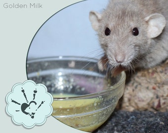 Rat Supplement Golden Milk for Rodents! Add the wonderful properties of turmeric in your rats diet