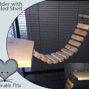 Wood Cage Accessories | Ledge with Ladder | Kiln dried Pine Wood | Double Ledges - Great for Critter Nation