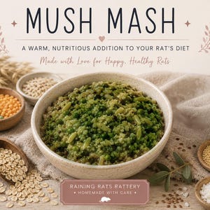 May include: A bowl of green mush mash with peas and grains, surrounded by small wooden bowls of oats, lentils, and seeds. The text reads MUSH MASH, A WARM, NUTRITIOUS ADDITION TO YOUR RAT'S DIET, Made with Love for Happy, Healthy Rats, and RAINING RATS RATTERY.
