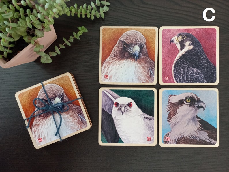 Wood Coaster Sets C - Raptors