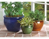 Jewel-Tone Flower Pot Trio