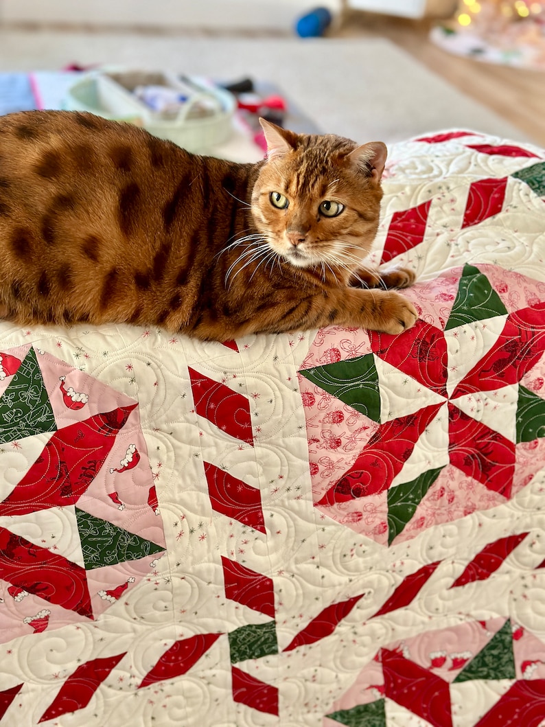 Peppermint Twirl PDF Quilt Pattern - Etsy