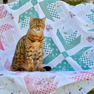 K&ouml;nnte beinhalten: Eine braune getigerte Katze mit gr&uuml;nen Augen sitzt auf einer wei&szlig;en Steppdecke mit rosa und gr&uuml;nen Patchwork-Quadraten. Die Steppdecke hat einen wei&szlig;en Hintergrund mit kleinen goldenen Punkten und verschiedenen floralen und geometrischen Mustern.