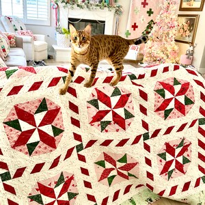 Peppermint Twirl PDF Quilt Pattern - Etsy