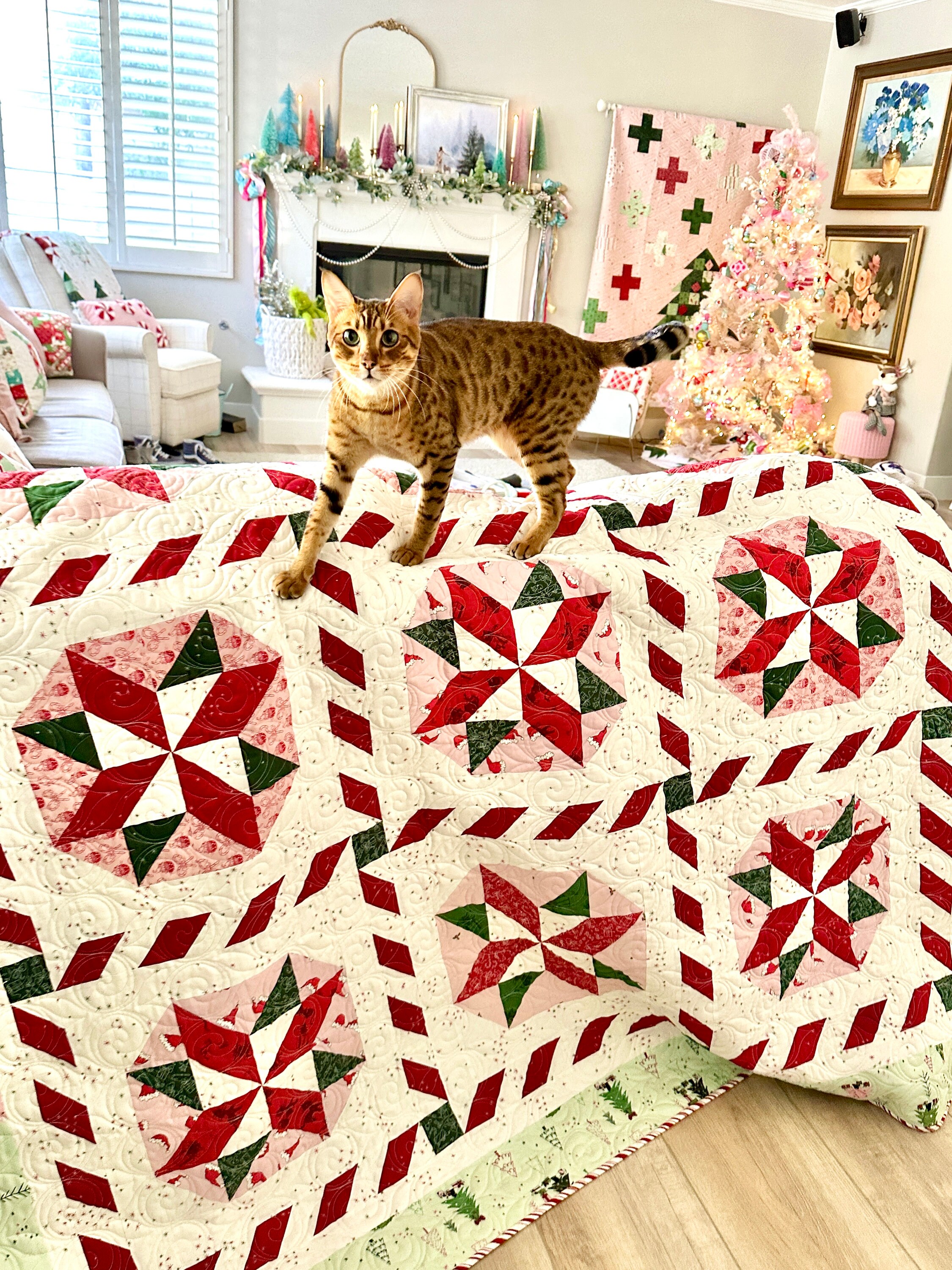 Peppermint Twirl PDF Quilt Pattern - Etsy
