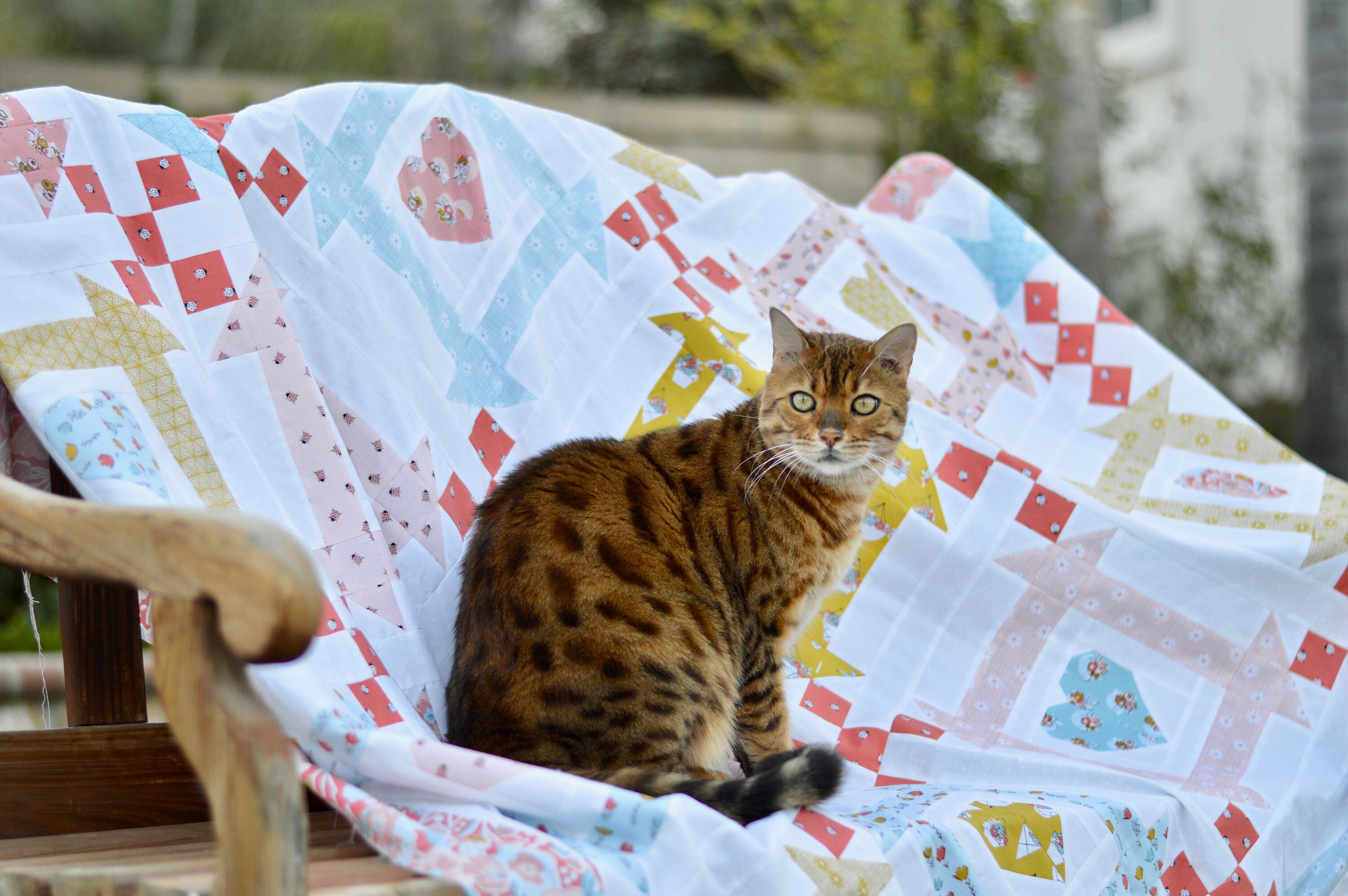 All You Need is Love and a Cat PAPER PATTERN Etsy