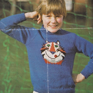 May include: A blue knitted jumper with a cartoon tiger face on the front. The tiger has orange and white stripes, a red nose, and a white smile.