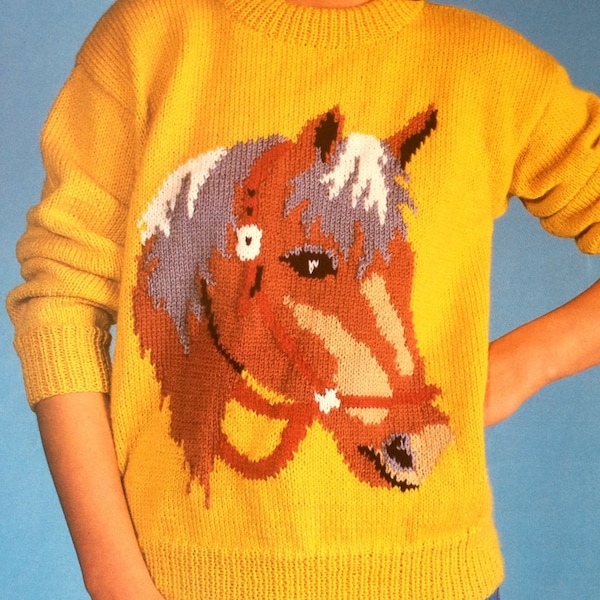 chandail de cheval modèle de tricot pour enfants femmes hommes intarsia tableau image pull en fil dk