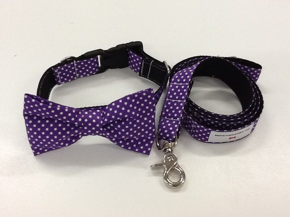 Fabulous Purple /& White Spot bow tie dog collar and matching lead available in small medium and large