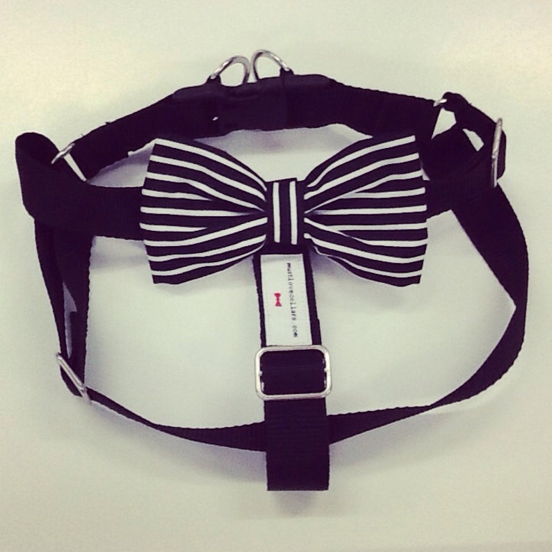 Fabulous Harness with your choice of bow tie & matching lead Etsy