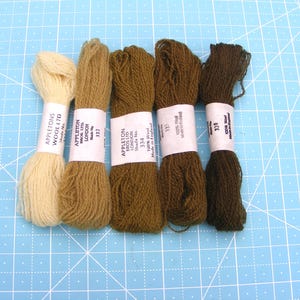 May include: Five skeins of Appleton's wool yarn arranged in a gradient from cream to dark brown. Each skein features a white paper label with black text including the brand name, shade numbers 332, 334, 335, 338, and the text 100% Wool Made in England.