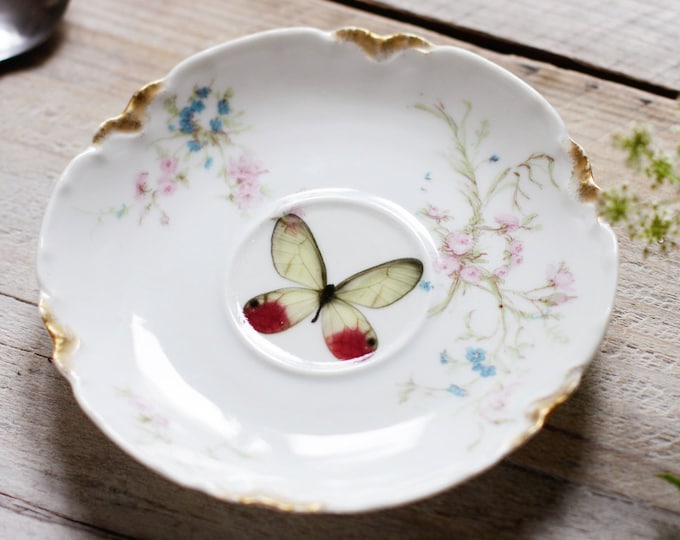 5 Upcycled Vintage Saucers the Butterfly Collection Wall Etsy