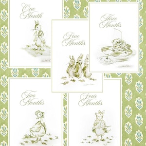 Cartes d'étape aquarelle Beatrix Potter