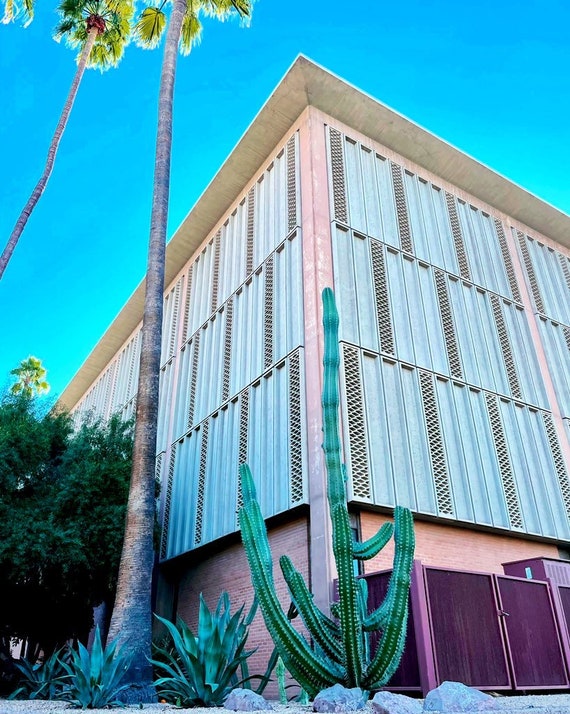 Arizona - ASU Tempe Campus Cactus | 8x10 Photo Print - Etsy