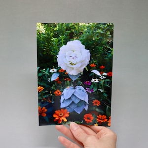 Wonderland White Rose Art Print – 5x7