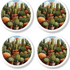 May include: Four round coasters, each with a detailed illustration of cacti and succulents in terracotta pots. The design features green, orange, and brown tones, set against a blue sky background.