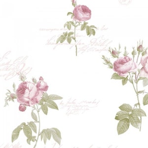 Shabby Chic Roses Wallpaper, Romantic French Script Words, Victorian Cottage Floral, Paris Feminine Bath - 12x9" Sample CG28820so