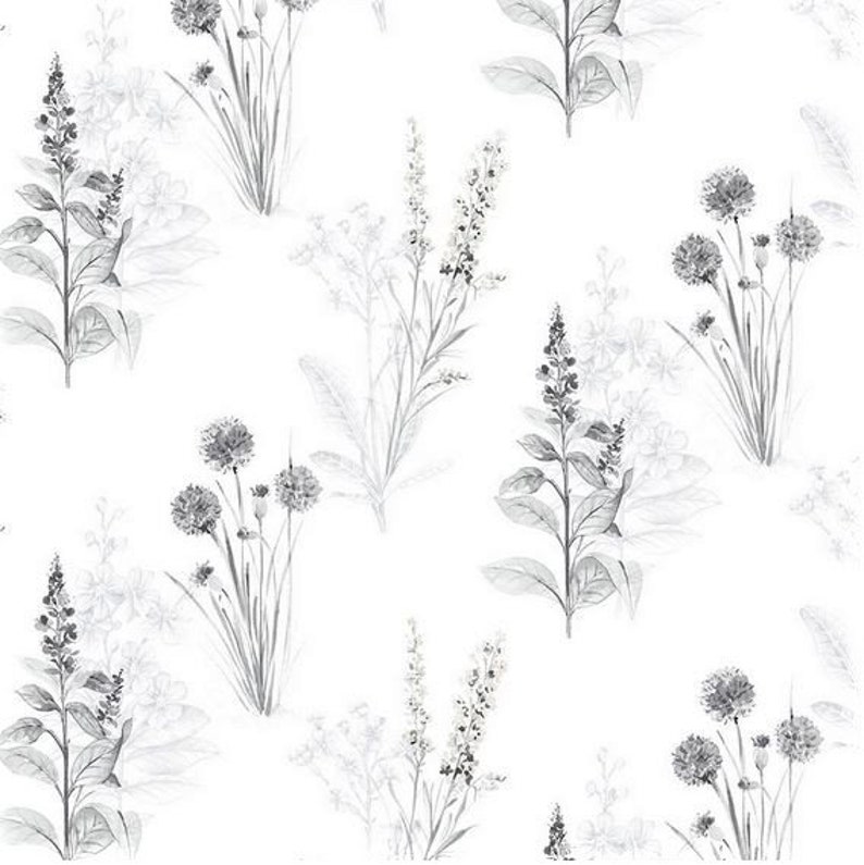 Plant Nature Wildflower Black AB42443so Modern Floral White and Gray Contemporary Botanical Toile Wallpaper Sold By The Yard