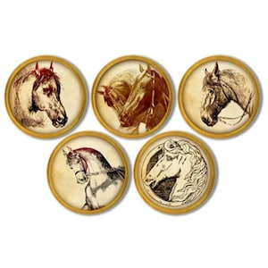 May include: A set of five circular wall decorations, each featuring a detailed sepia-toned illustration of a horse head. The prints are encased in thin, gold-coloured circular frames, showcasing various equine profiles with distinct manes and bridles.