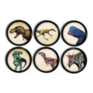 May include: Six round decorative magnets featuring different dinosaurs. Each magnet has a black border and a vintage-style background. The dinosaurs include a T-Rex, a Velociraptor, and a Triceratops.