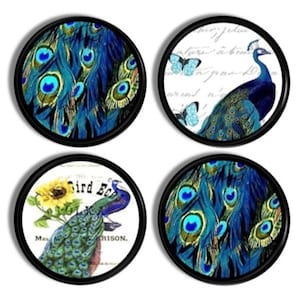 May include: Set of four round coasters with black edges. Two coasters feature peacock feather designs in shades of blue and green. The other two coasters display peacock illustrations with butterflies and text.