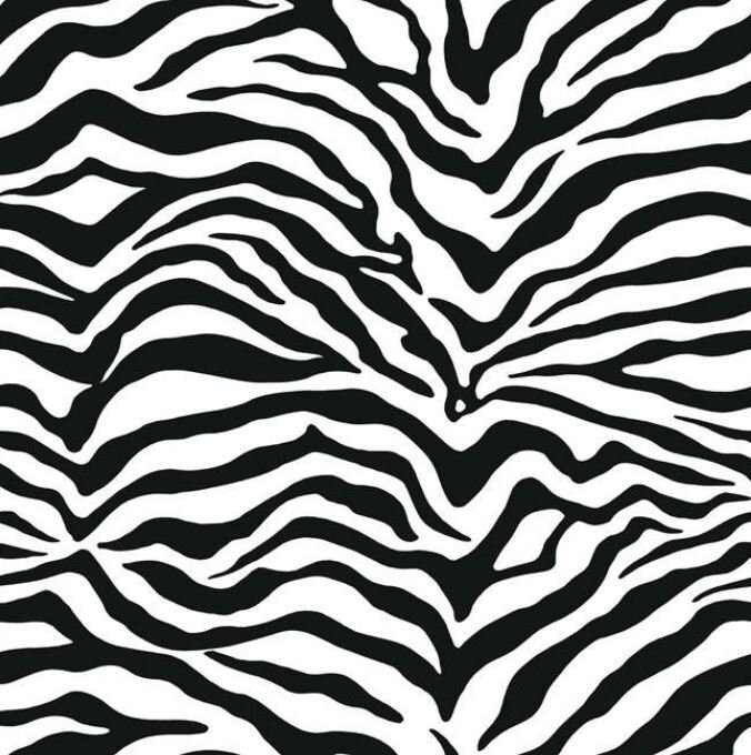 Classic Zebra Stripe Print Wallpaper – Black White Glam