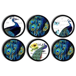 May include: Set of six round coasters featuring peacock designs. Each coaster has a black border and a white background with a peacock design in shades of blue, green, and gold. The designs include a peacock with its tail feathers spread, a peacock with its head turned to the side, and a peacock with its tail feathers spread and a sunflower in the background.