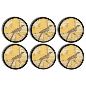 May include: Six round coasters with a black border. Each coaster features a bird illustration on a yellow background with a vintage aesthetic. The bird is perched on a branch, and the background has a faded, aged appearance.