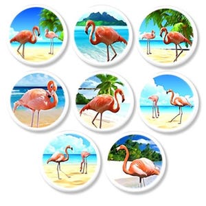 May include: Seven circular designs featuring pink flamingos on a beach with blue water and palm trees. Each design shows a different flamingo pose, set against a sunny tropical backdrop.