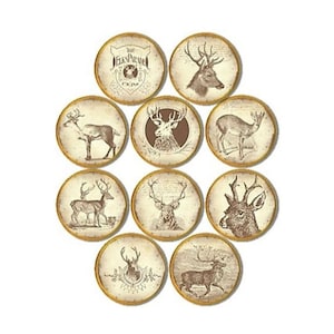 May include: A collection of ten circular decorative plates featuring brown ink illustrations of deer and stags on a cream background. Each plate displays a unique wildlife scene or portrait, with one plate showing the text The Elk's Parade.