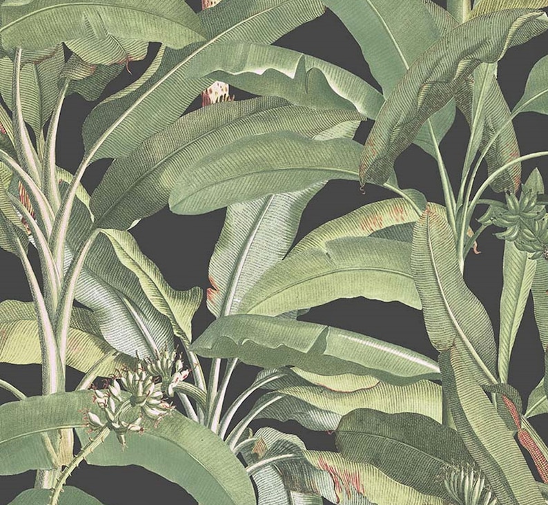 Banana Plant Leaves Dark Wallpaper Tropical Polynesian Etsy