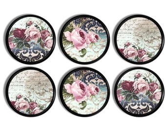 Romance Gothic Floral Bedroom Dresser Knob, Decorative Dark Academia Drawer Pull, Pale Pink Aqua Macabre Victorian Rose Art 215C1 R2x .