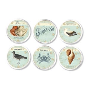 Vintage Coastal Cabinet Knobs – Seashell, Starfish and Crab Designs, Seaside Postcard Drawer Pulls, Beach House Handle, Set of 6 317H25 .