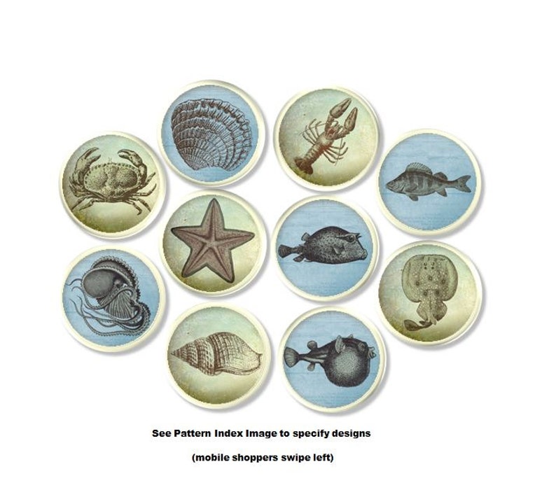 Blue And Green Sea Life Drawer Pull Ocean Sealife Beach Etsy