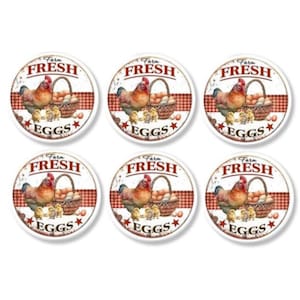 Farm Fresh Egg Cabinet Knobs – Hen and Chicks Drawer Pulls for Country Kitchen or Vintage Farmhouse (Set of 4 or 6) 624A1 R2 .