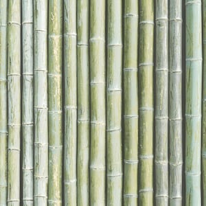 Beachy Bamboo Wallpaper, Coastal Botanical Wall, Organic Nature Accent, Eclectic Bohemian Spa, Safari Jungle Nursery – By The Yard G67941so