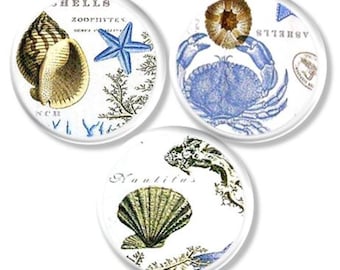 Sea Life Cabinet Knobs, Vintage Coastal Drawer Pulls, Nautical Decorative Hardware for Bathroom, Entryway, or Dresser – Set of 3 215B17 R3 .