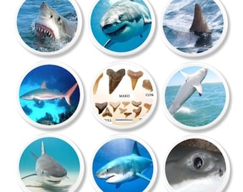 Shark Theme Cabinet Door Knob Set, Great White Movie Man Cave, Coastal Bathroom Drawer Pulls, Boy Dresser Handles 717B1 R1.